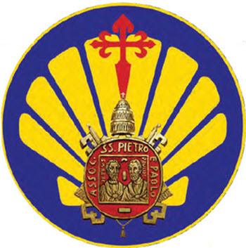 p63